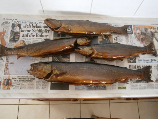 Räucherlauge Lachs - Forelle Rot 500g